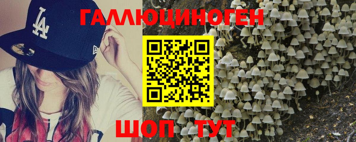 Галлюциногенные грибы мухоморы Свободный