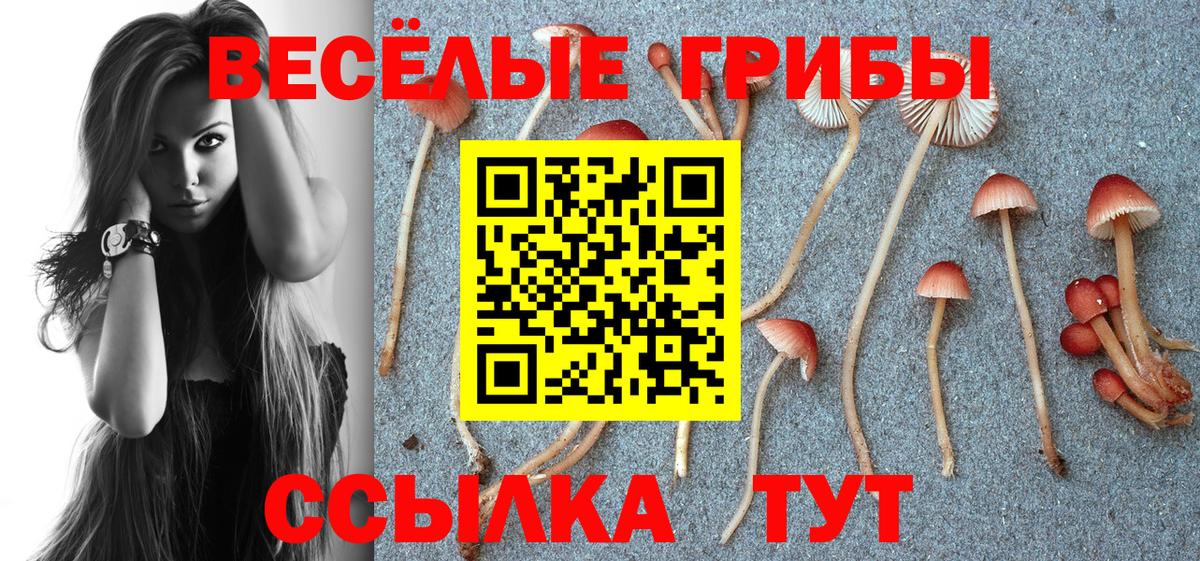 Галлюциногенные грибы мухоморы  Галлюциногенные грибы Magic Shrooms  Вход с VPN  Свободный 